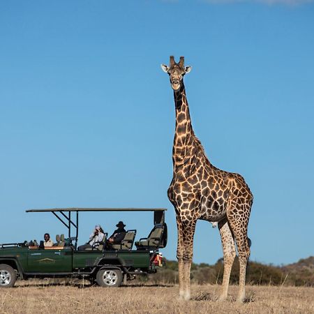 Safari Plains Villa Mabula Game Reserve Exterior foto