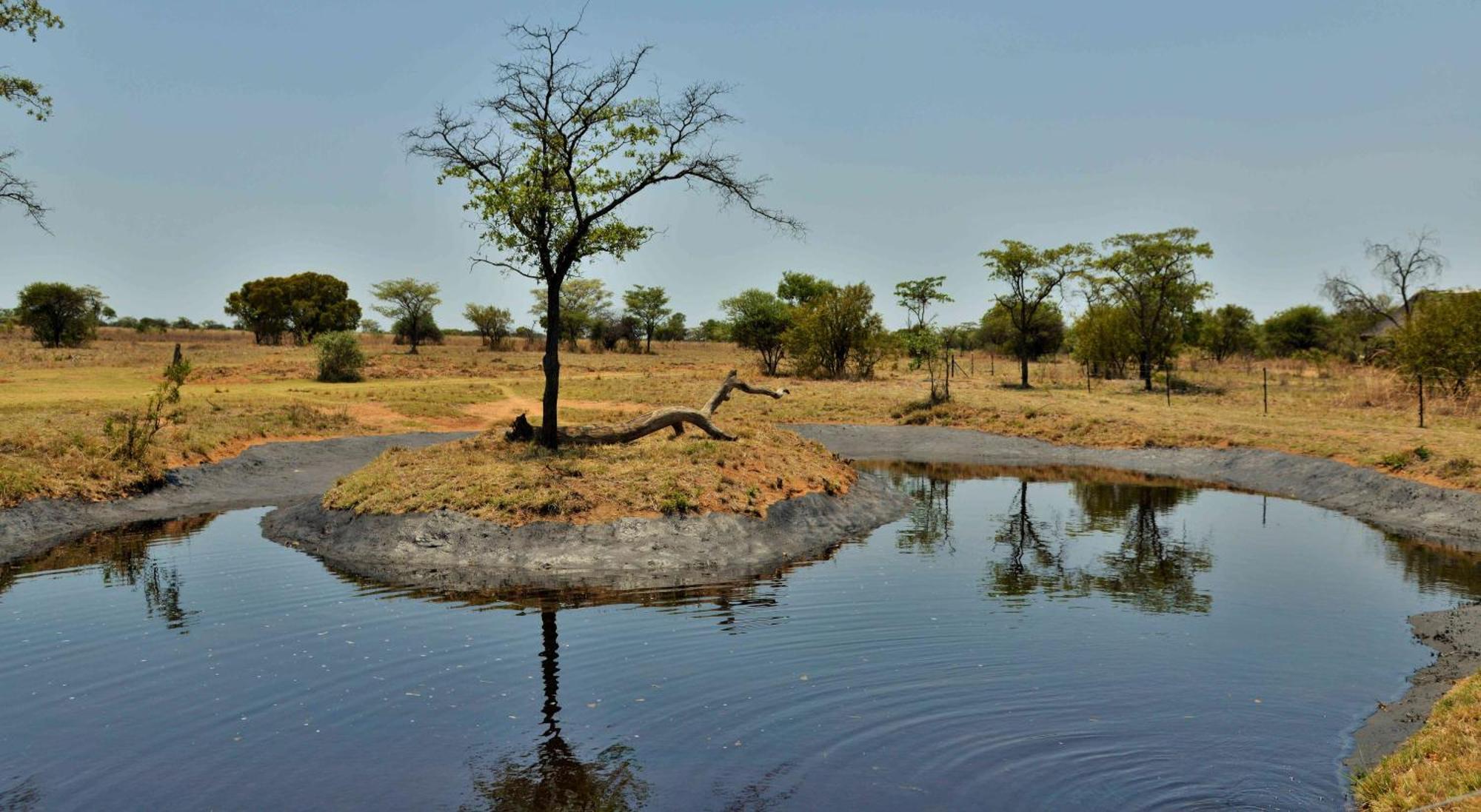 Safari Plains Villa Mabula Game Reserve Exterior foto