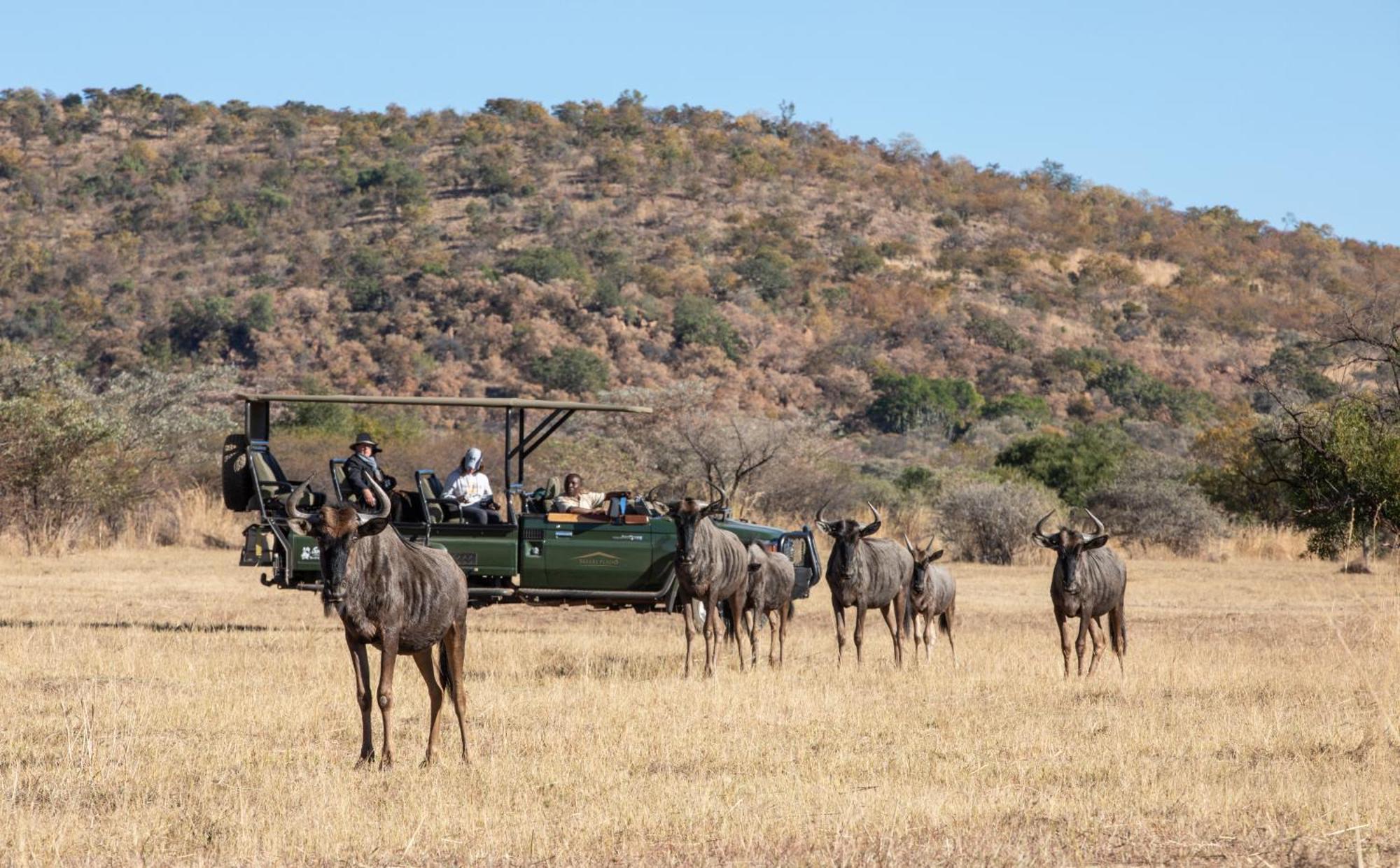 Safari Plains Villa Mabula Game Reserve Exterior foto