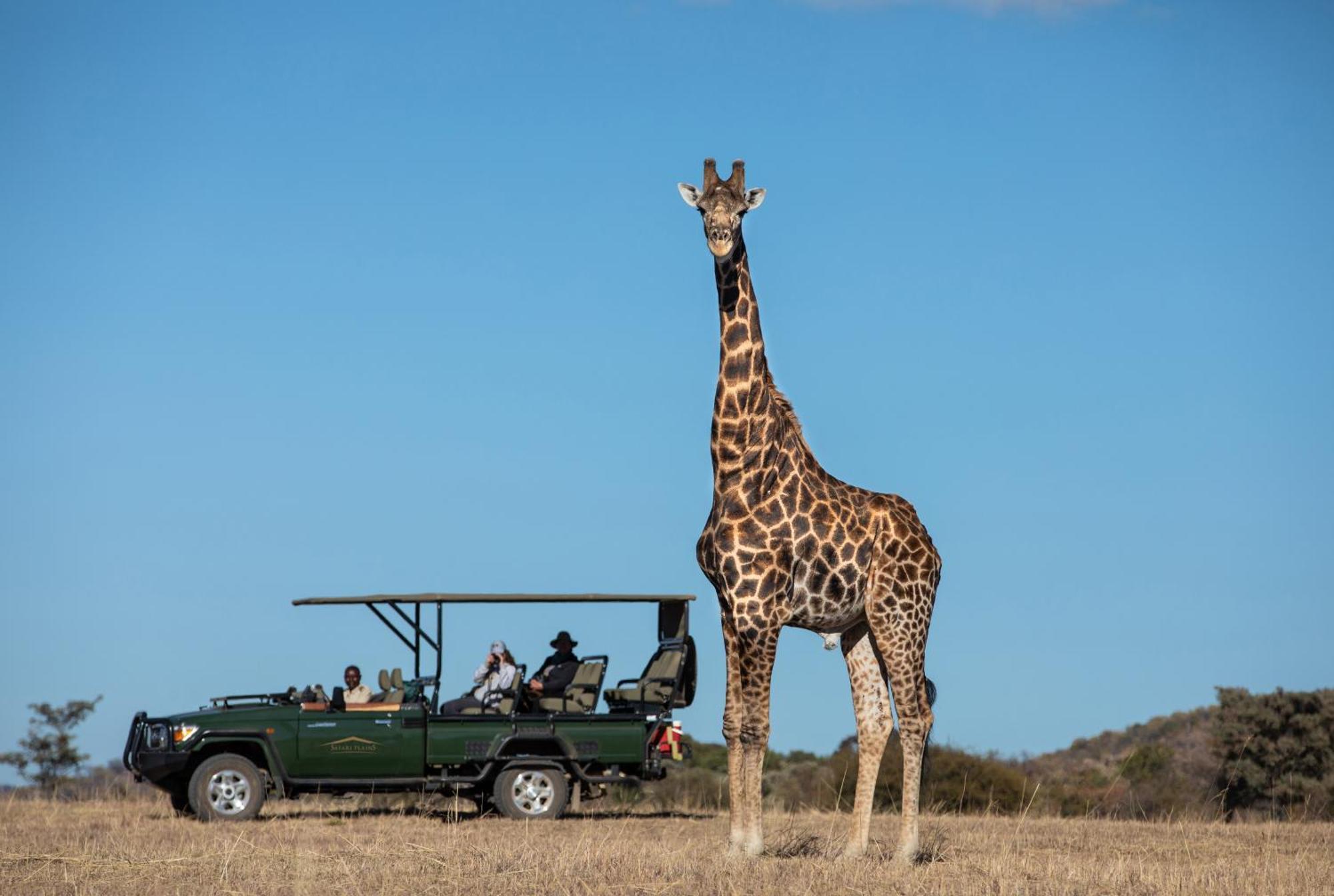 Villa Safari Plains Mabula Game Reserve Exterior foto