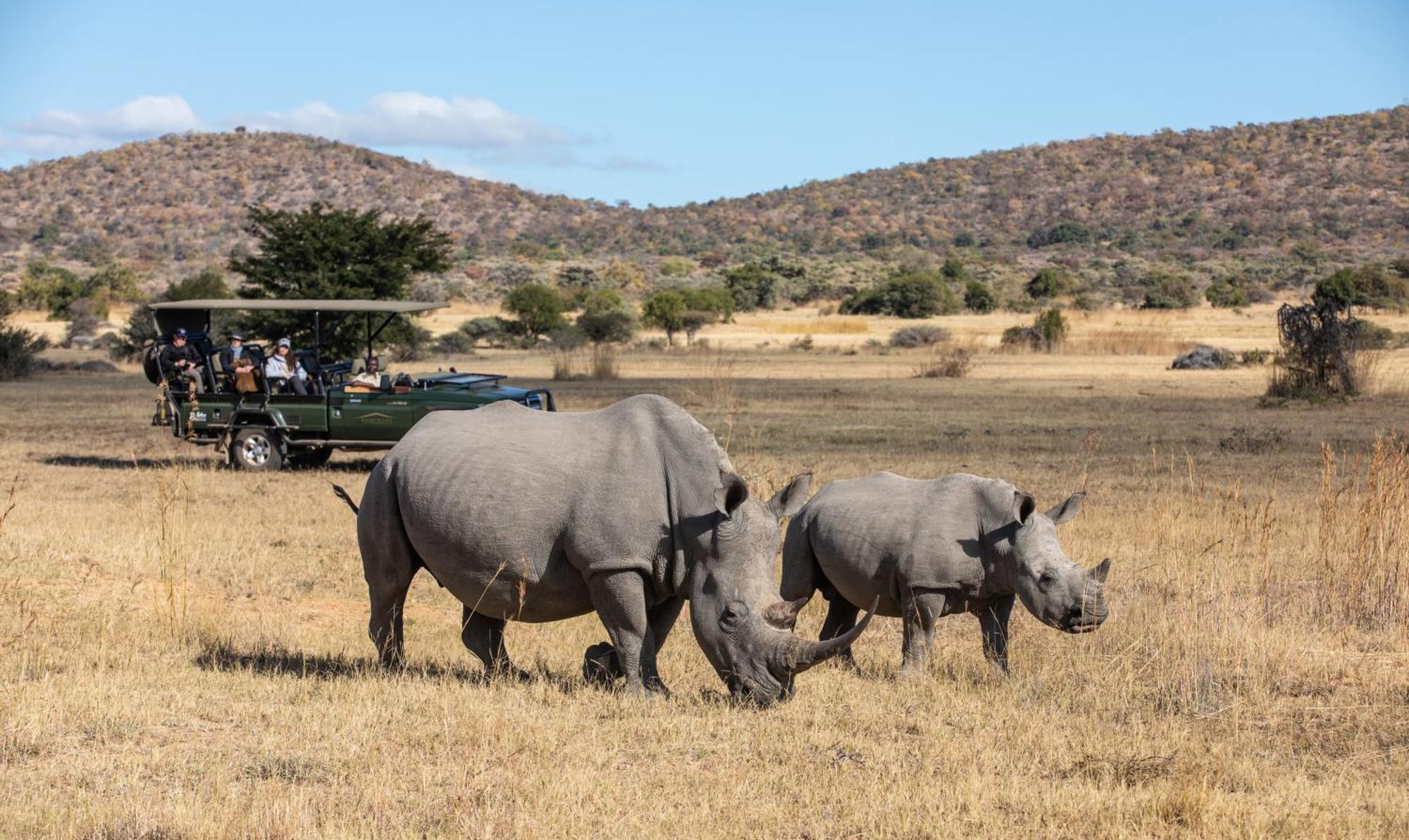 Villa Safari Plains Mabula Game Reserve Exterior foto